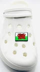 Welsh Flag shoe charms for Croc-style clogs
